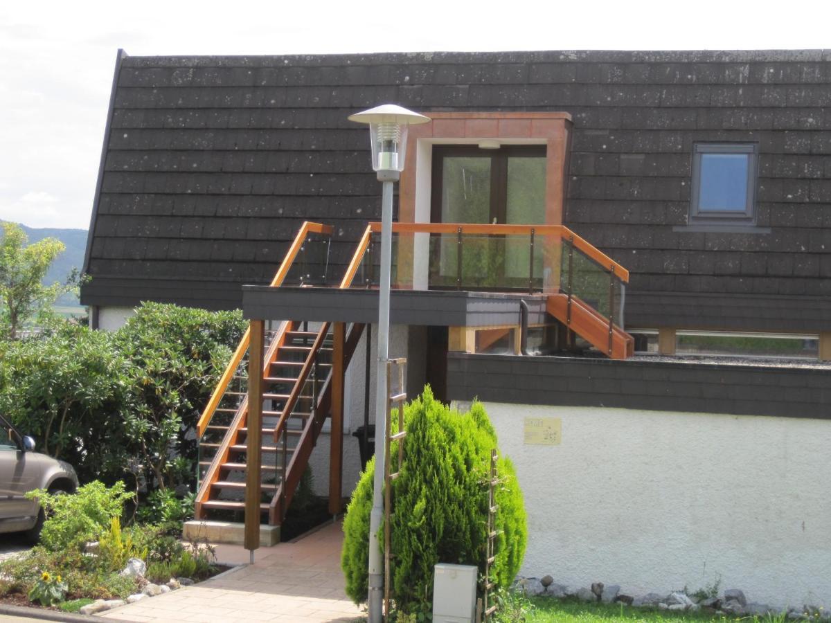 Haus Am Weinberg Daire Erzingen Dış mekan fotoğraf